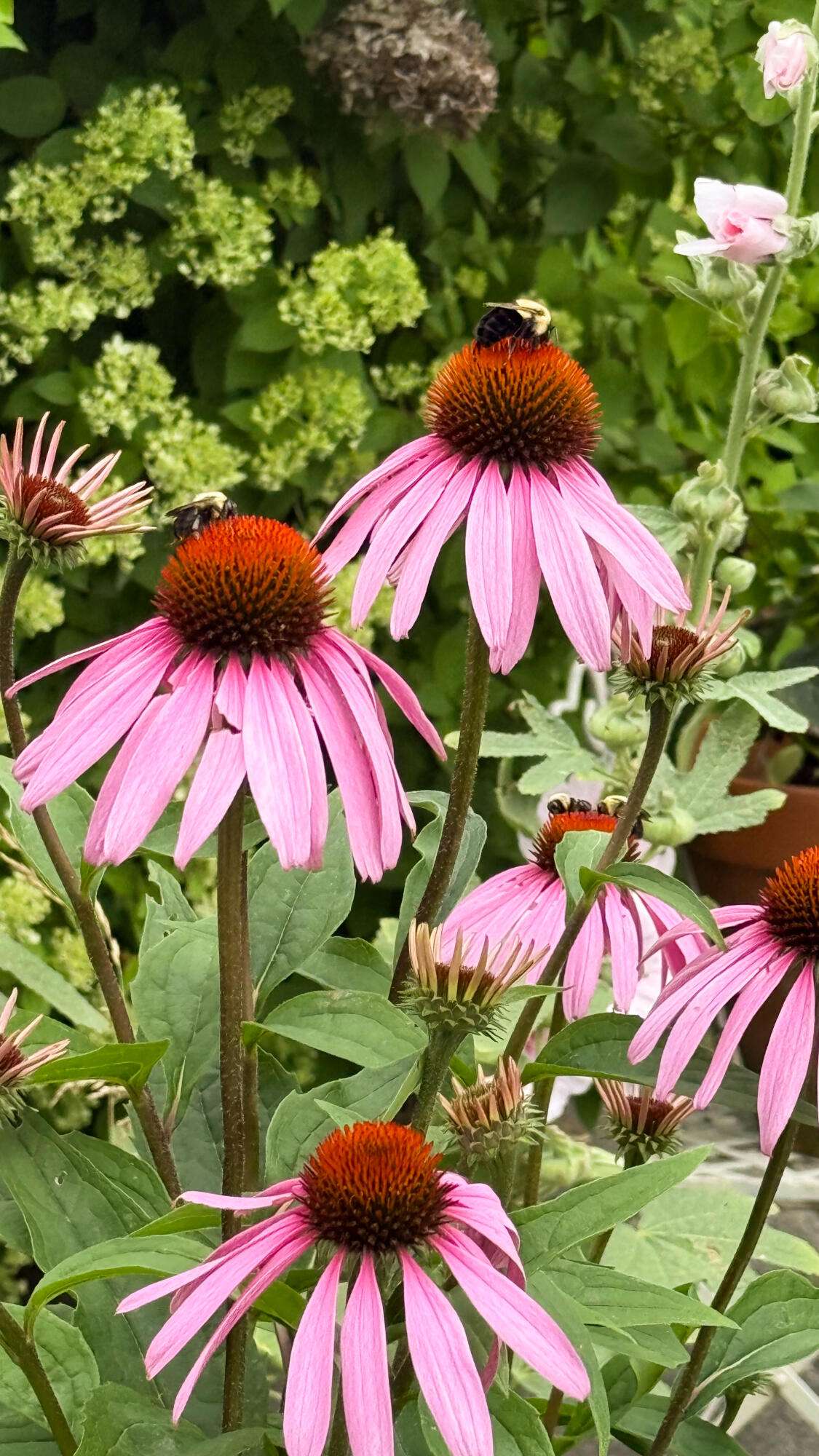 50 Glass Hill Road Guilford, ME 04443 - Photo 8 of 112 8