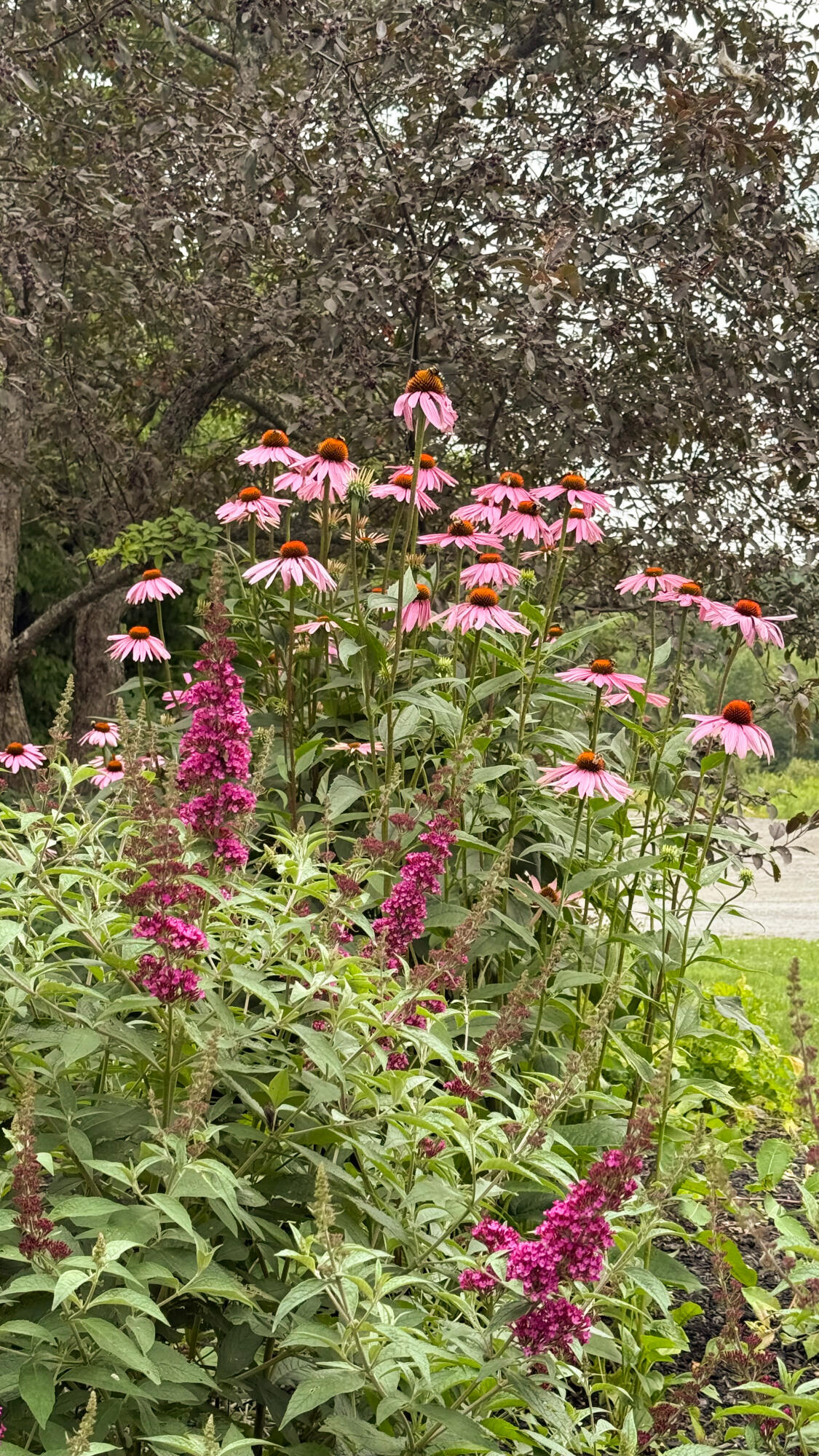50 Glass Hill Road Guilford, ME 04443 - Photo 85 of 112 83