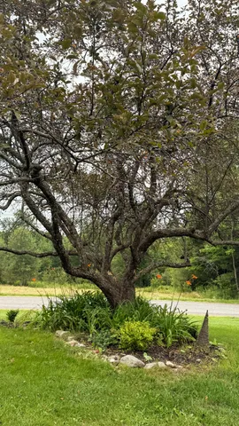 $265,000 | 50 Glass Hill Road, Guilford, ME 04443