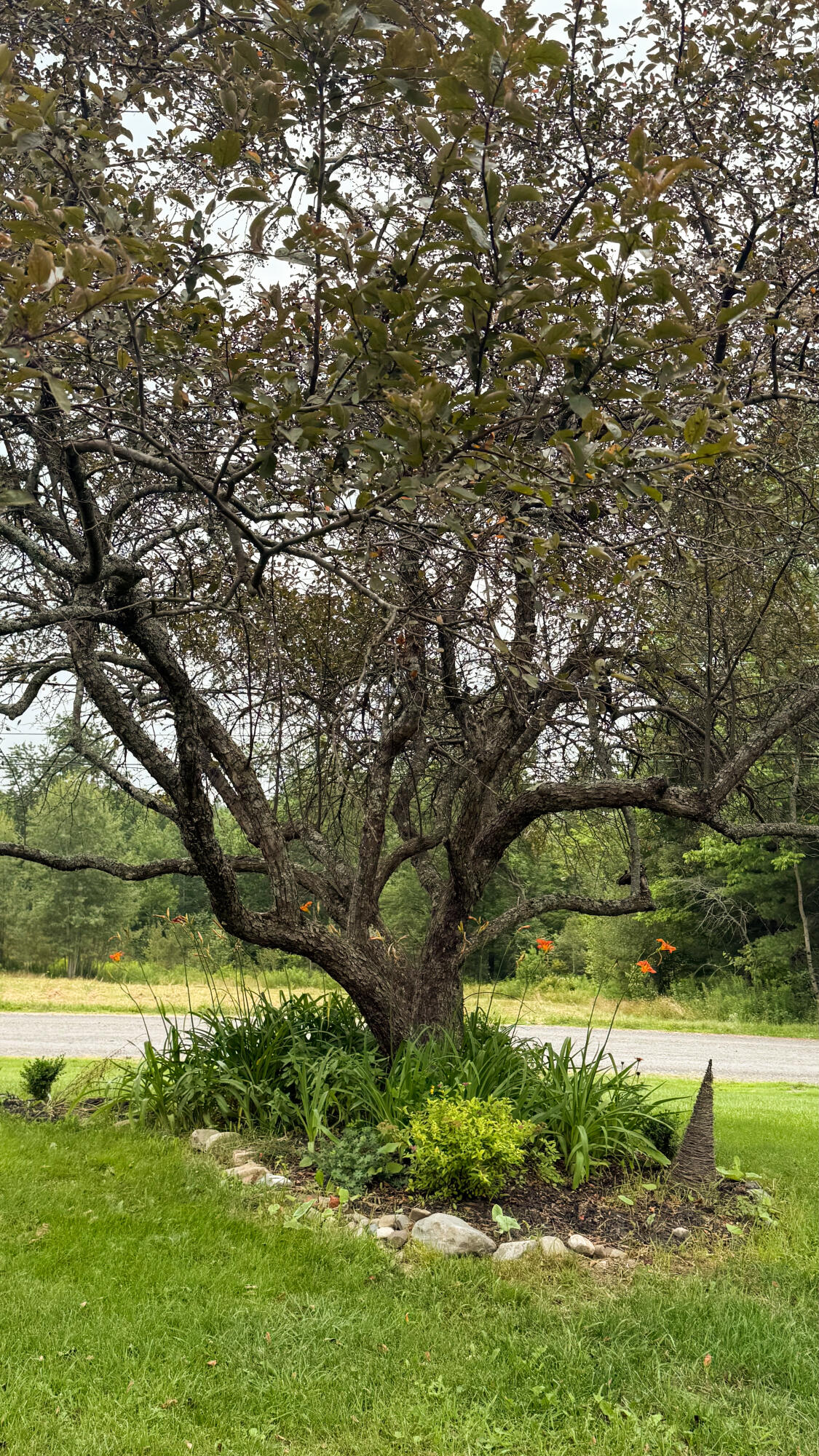 50 Glass Hill Road Guilford, ME 04443 - Photo 87 of 112 85