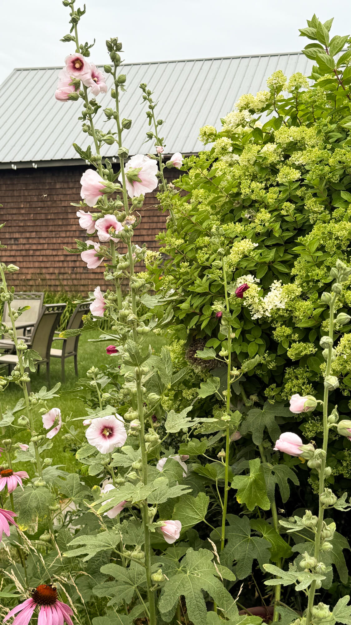50 Glass Hill Road Guilford, ME 04443 - Photo 9 of 112 9