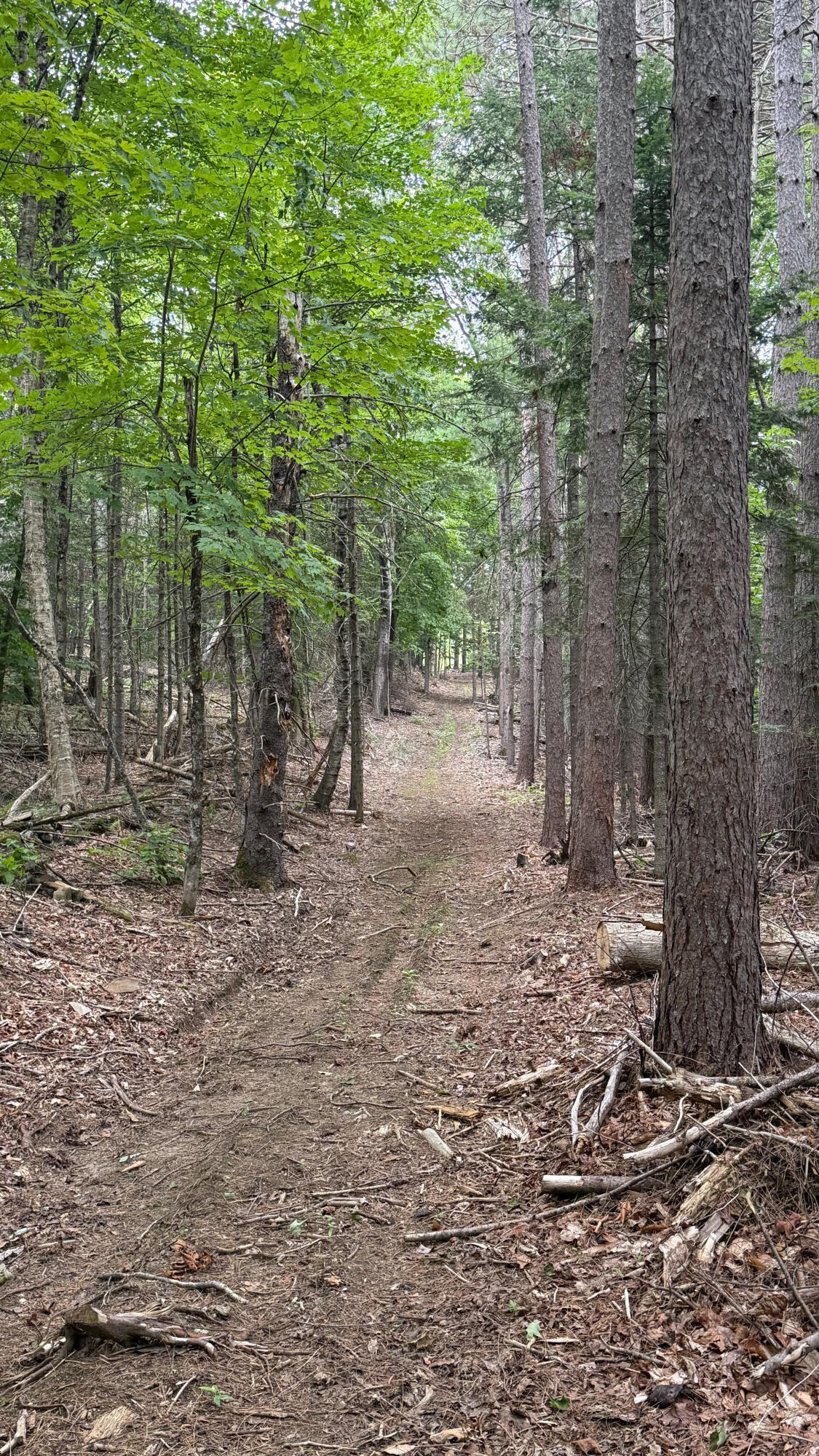 50 Glass Hill Road Guilford, ME 04443 - Photo 94 of 112 92