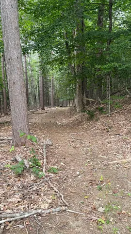 $265,000 | 50 Glass Hill Road, Guilford, ME 04443