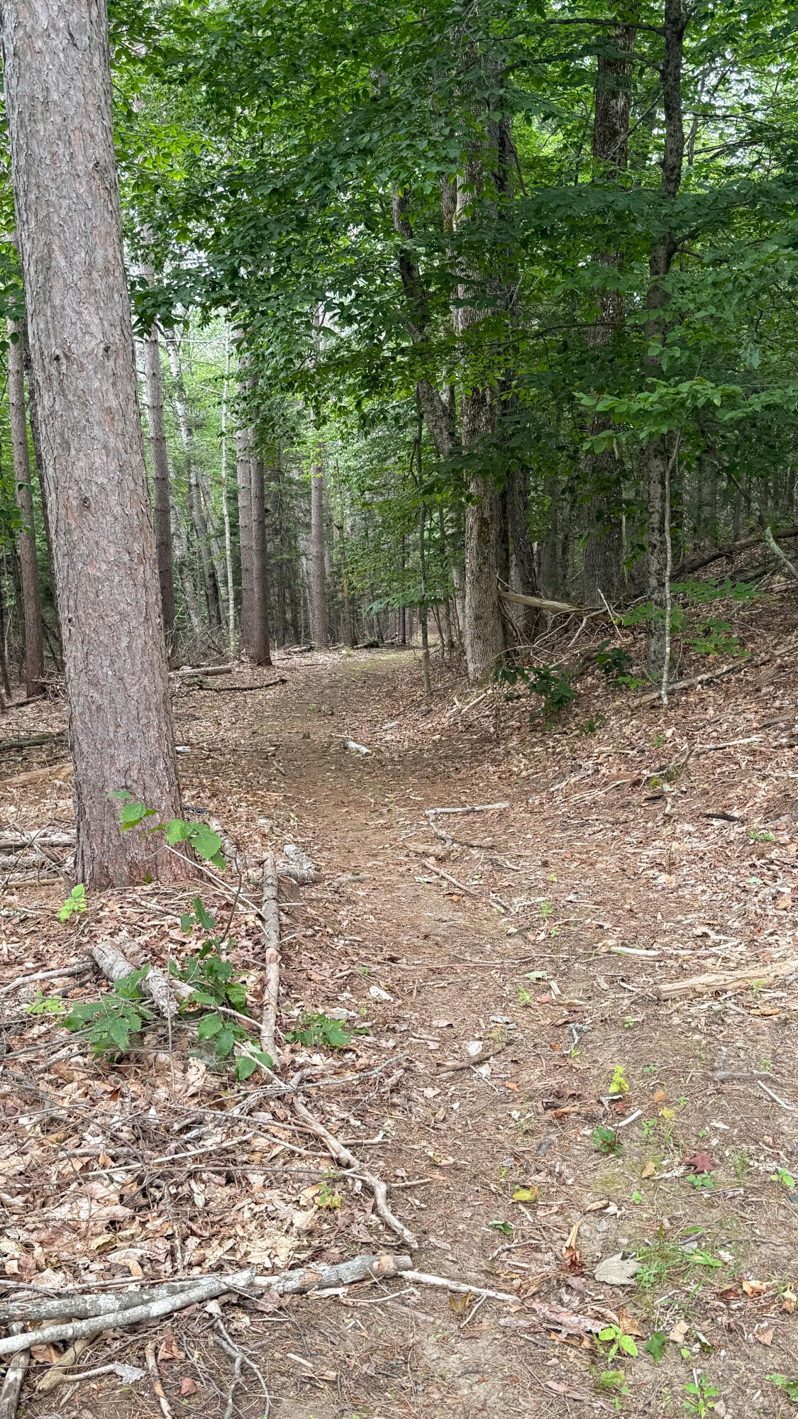 50 Glass Hill Road Guilford, ME 04443 - Photo 95 of 112 93