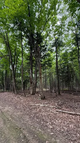 $265,000 | 50 Glass Hill Road, Guilford, ME 04443