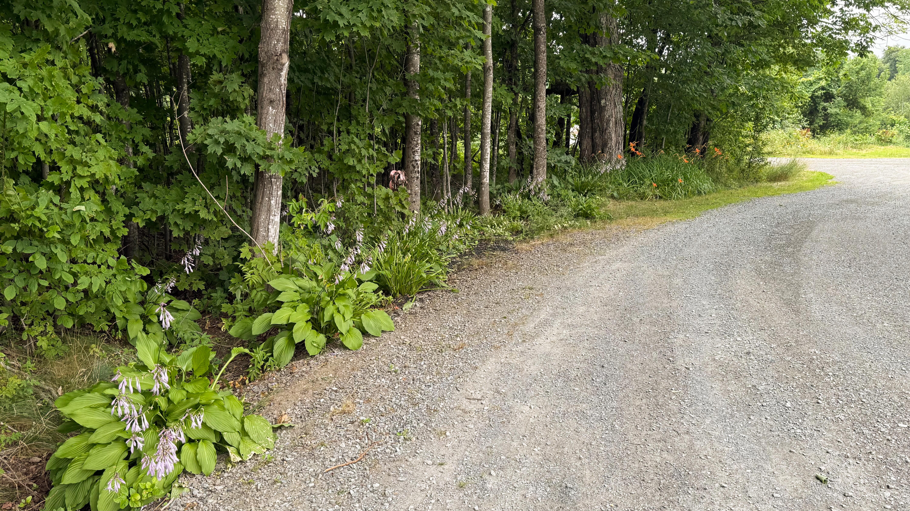 50 Glass Hill Road Guilford, ME 04443 - Photo 97 of 112 95