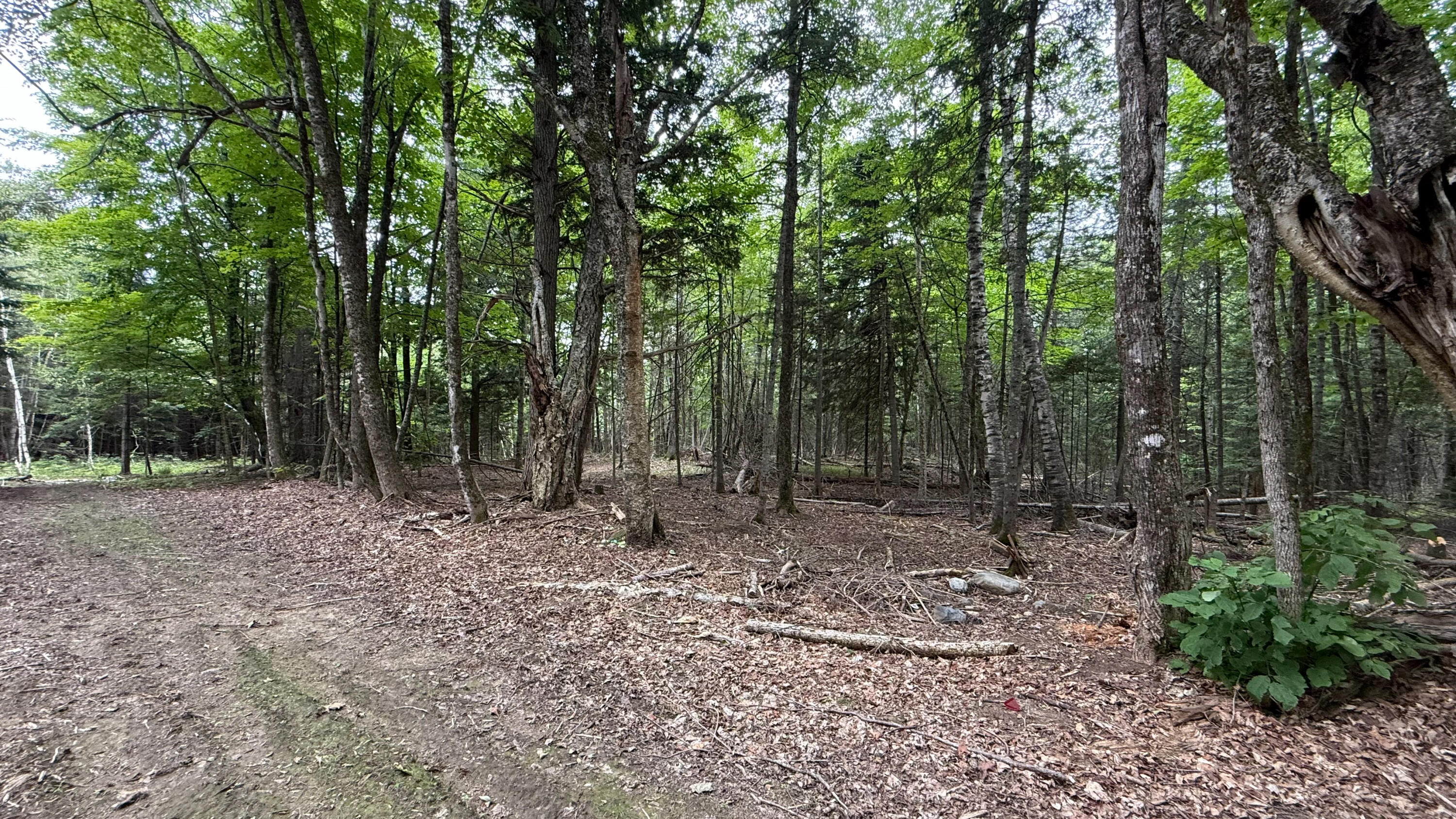 50 Glass Hill Road Guilford, ME 04443 - Photo 98 of 112 IMG_E3634