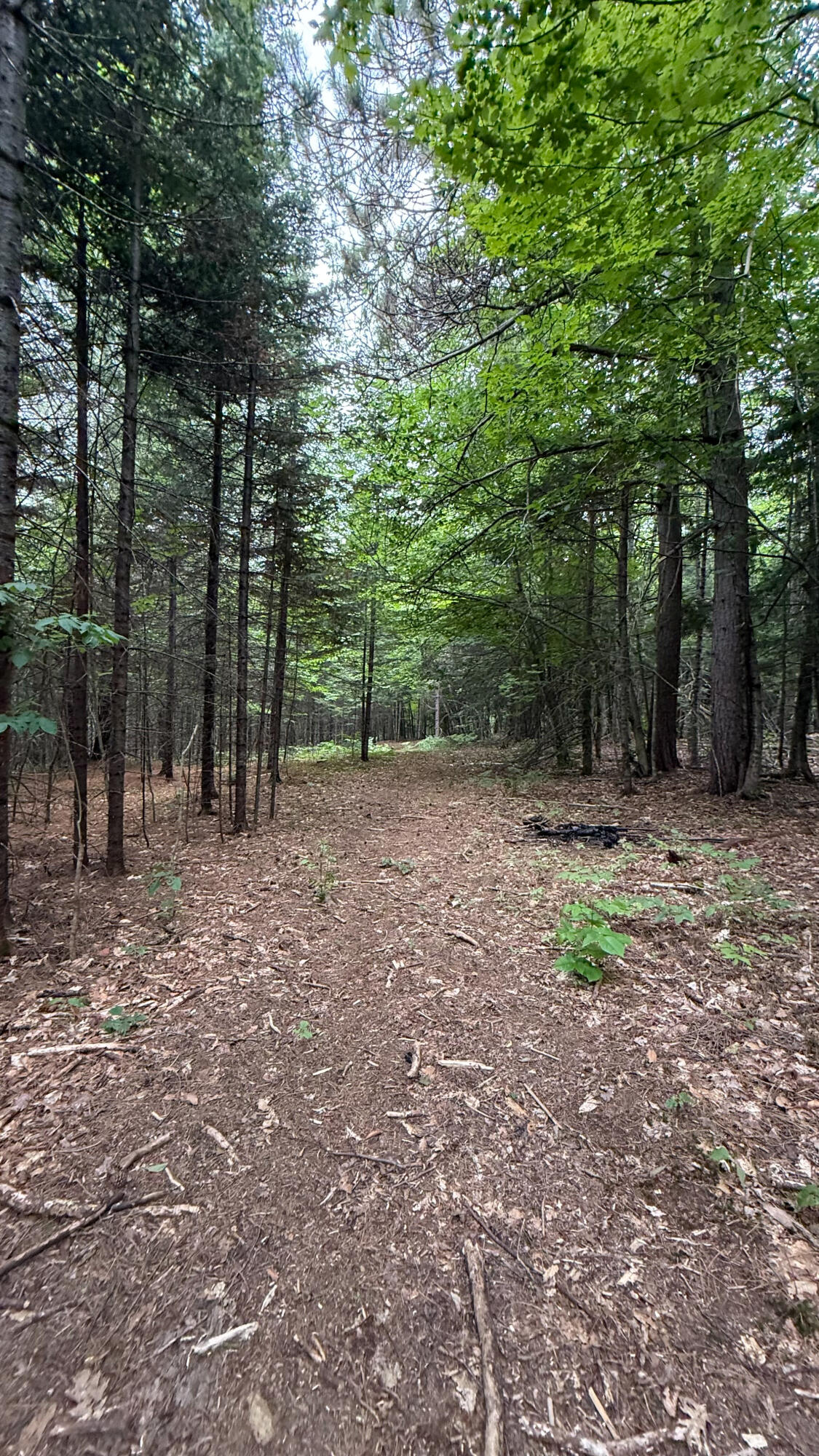 50 Glass Hill Road Guilford, ME 04443 - Photo 100 of 112 IMG_E3637