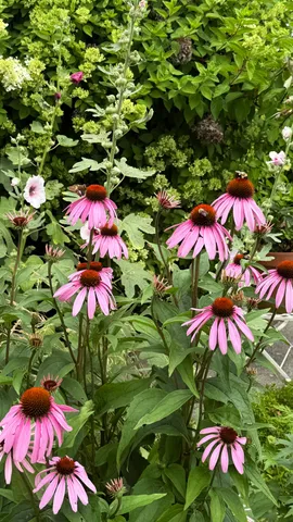 $265,000 | 50 Glass Hill Road, Guilford, ME 04443