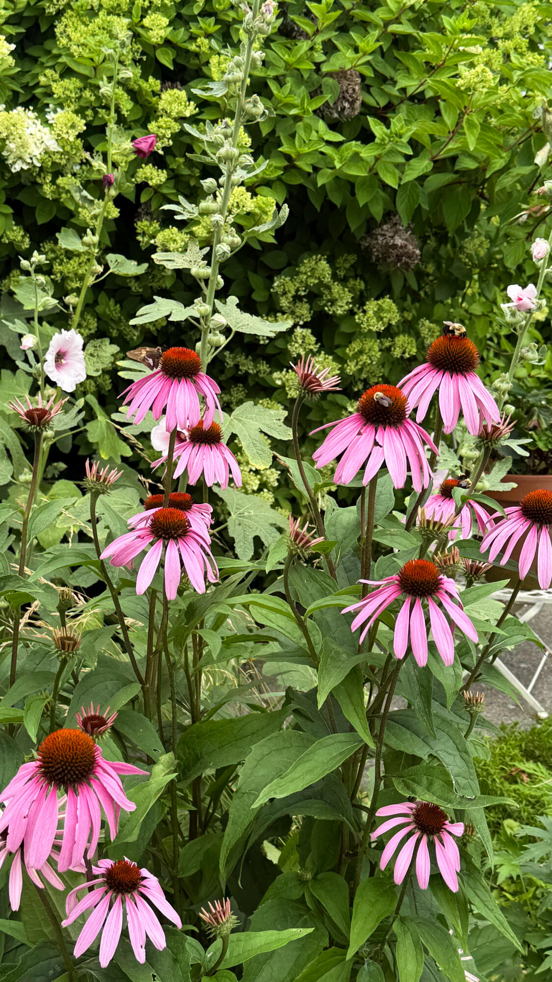 50 Glass Hill Road Guilford, ME 04443 - Photo 10 of 112 10