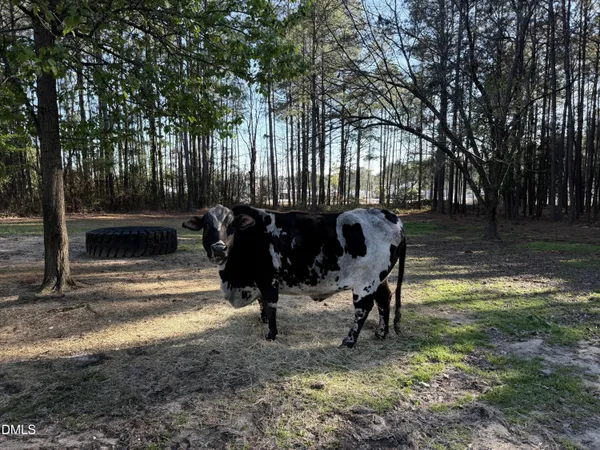 $394,900 | 3032 Federal Road, Benson, NC 27504