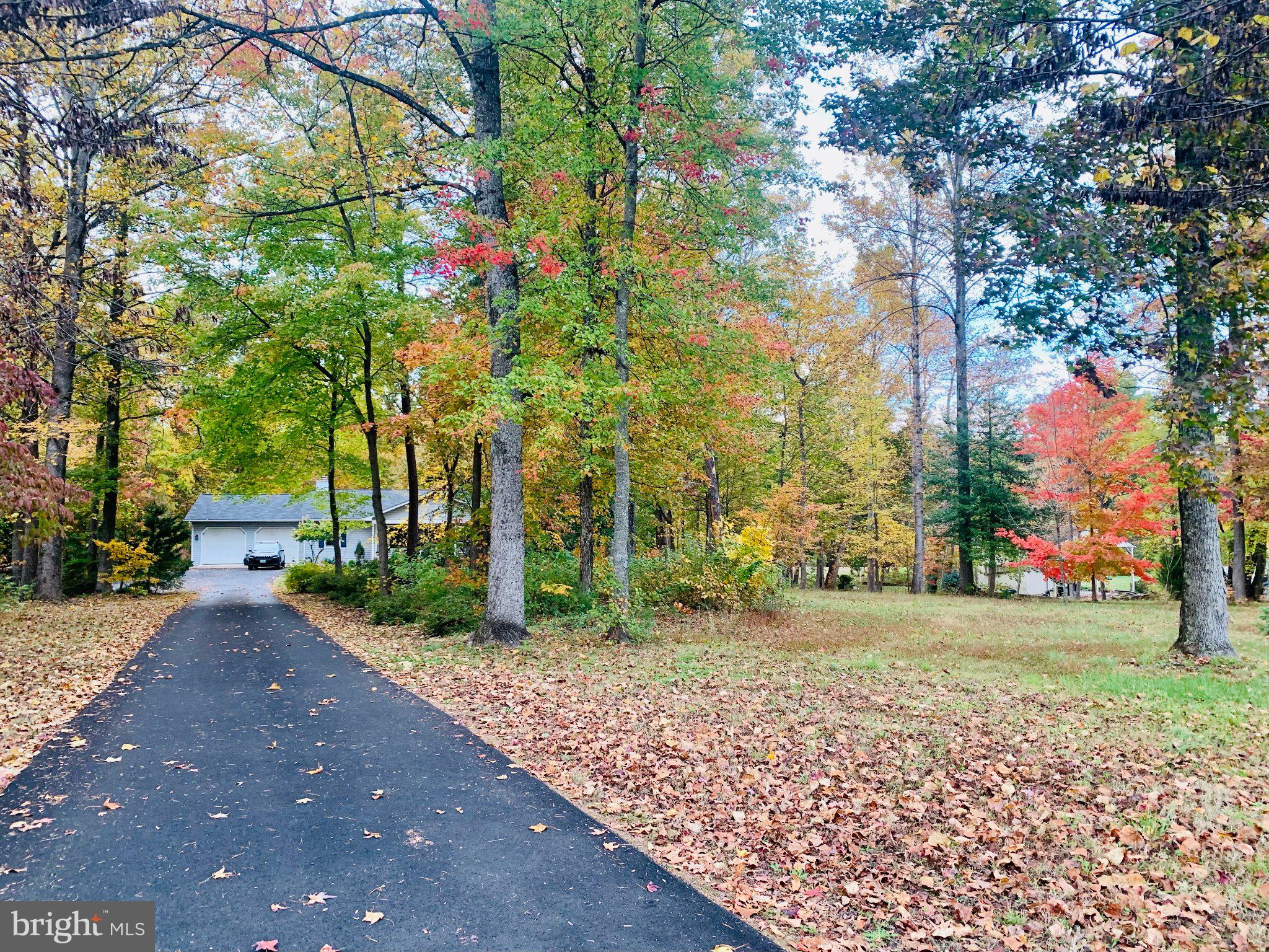230 Richards Ferry Road Fredericksburg, VA 22406 - Photo 81 of 96 Charming home nestled in autumn hues.