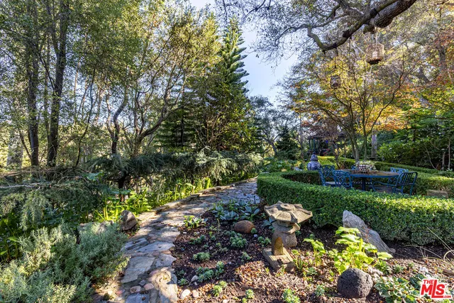 a view of a garden with plants