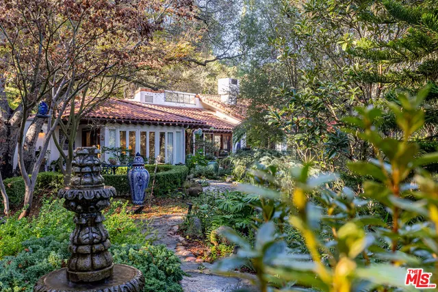 a close up of a plant in a garden