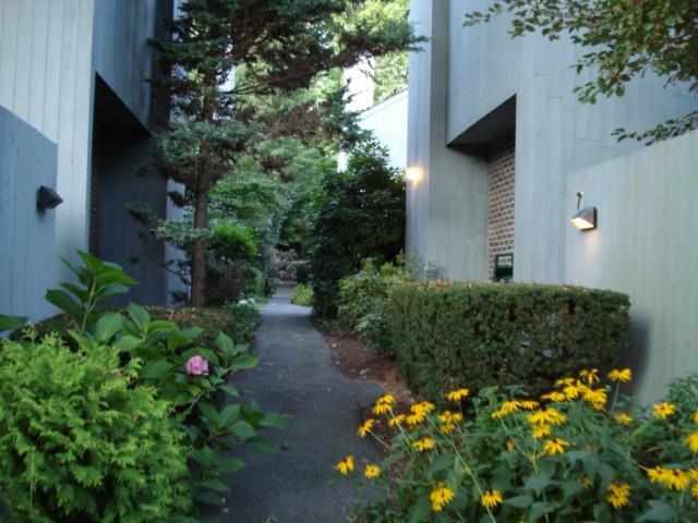 5 Juneberry Lane Ridgefield, CT 06877 - Photo 1 of 1 a view of a garden with plants