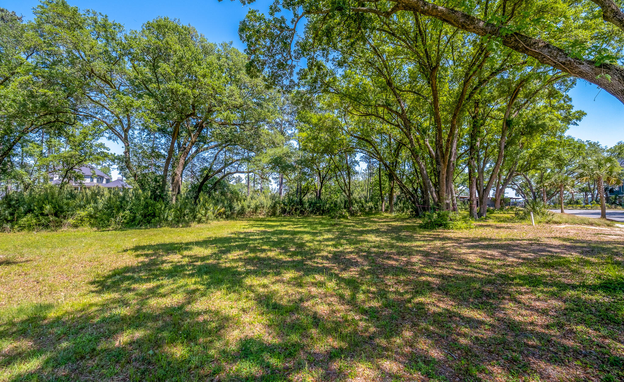 429 Wayfaring Point Charleston, SC 29492 - Photo 1 of 22 429 Wayfaring Point1