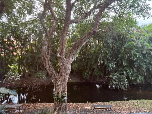 1605 Highway 1, Unit E203 Jupiter, FL 33477 - Photo 24 of 28 a view of a yard