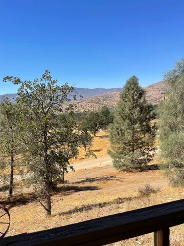a view of a yard with an outdoor space