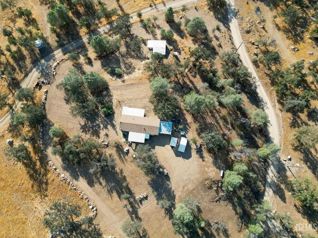 a view of snow covered with trees