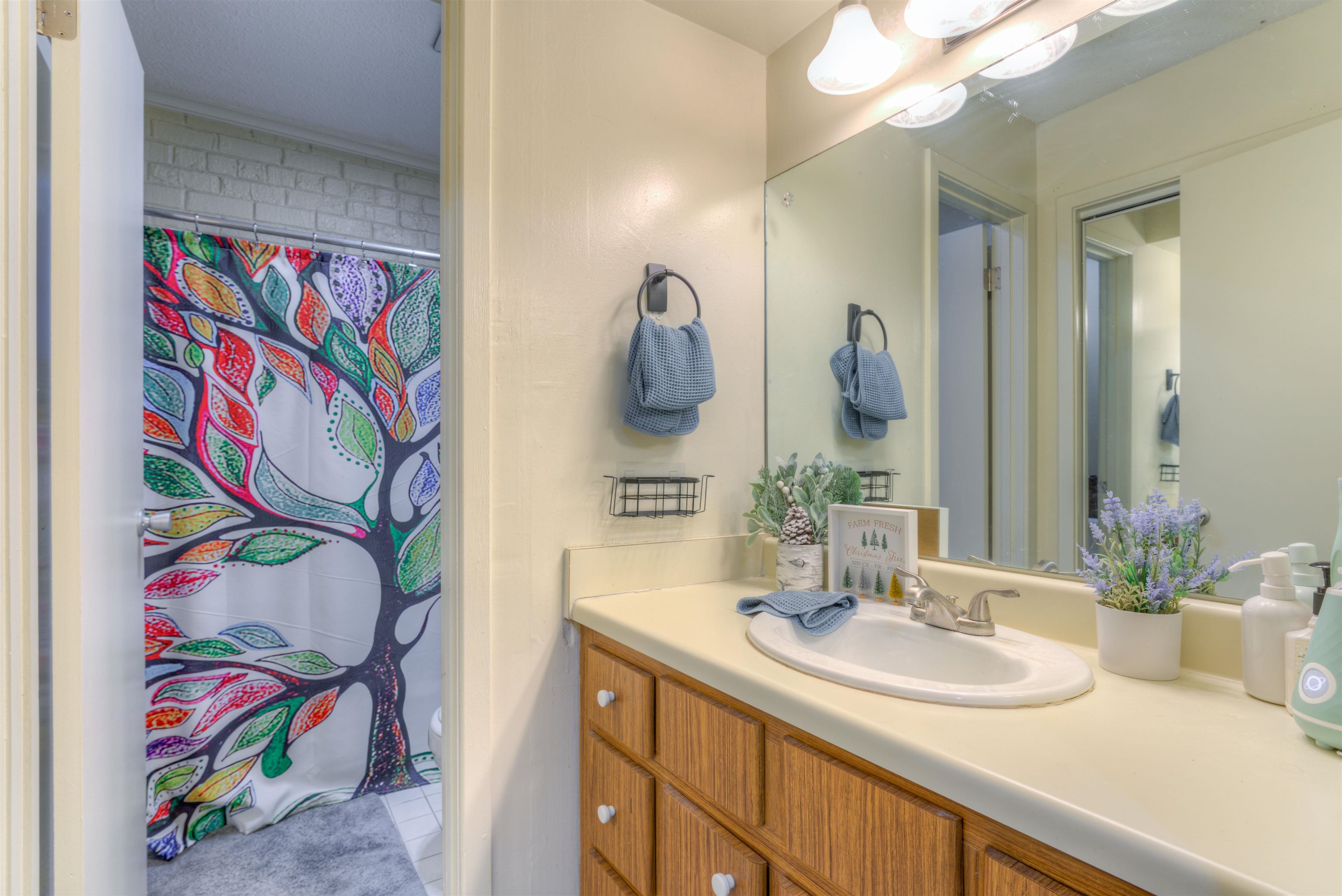 997 June Road Memphis, TN 38119 - Photo 14 of 30 a bathroom with a sink and a mirror