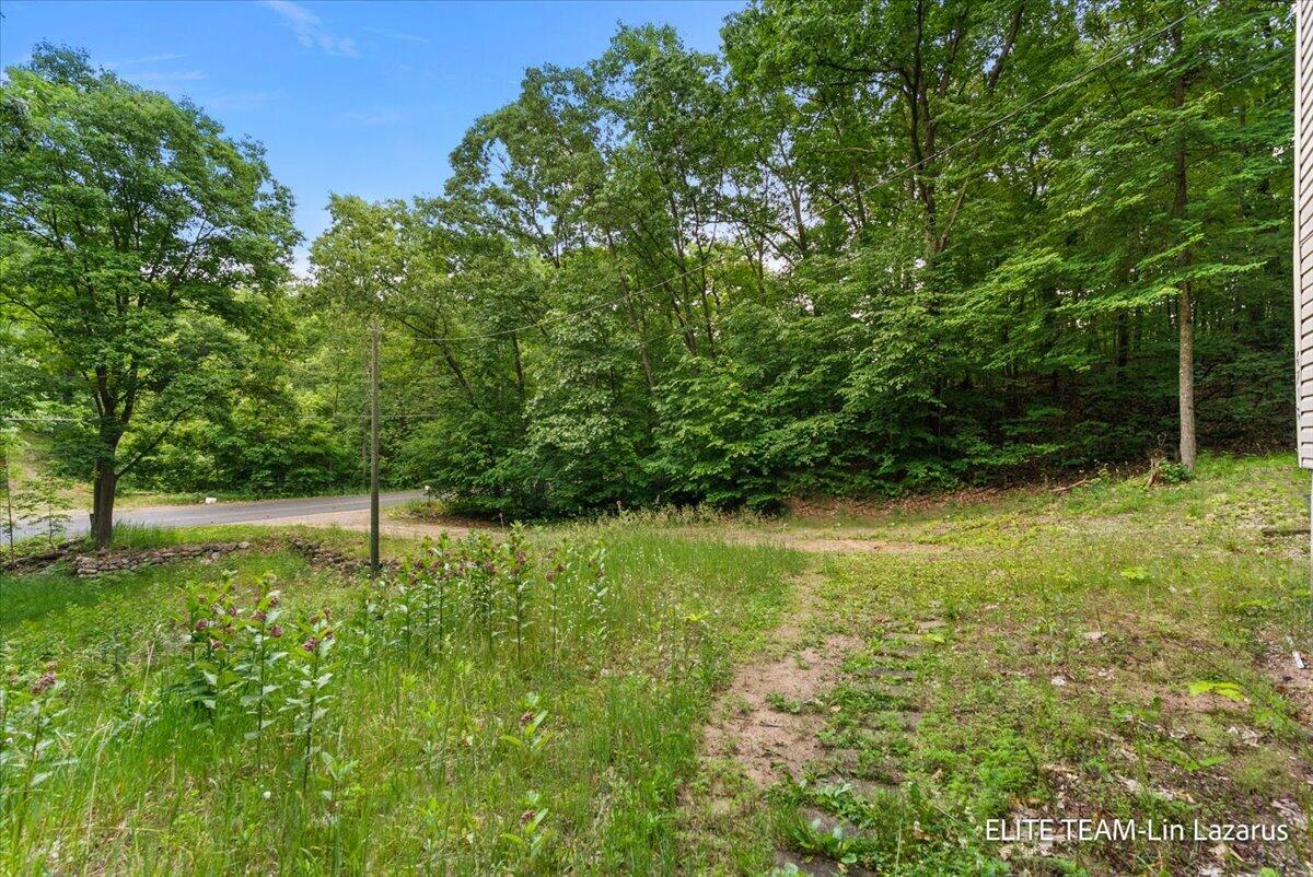 6718 Schmeid Road Lakeview, MI 48850 - Photo 42 of 58