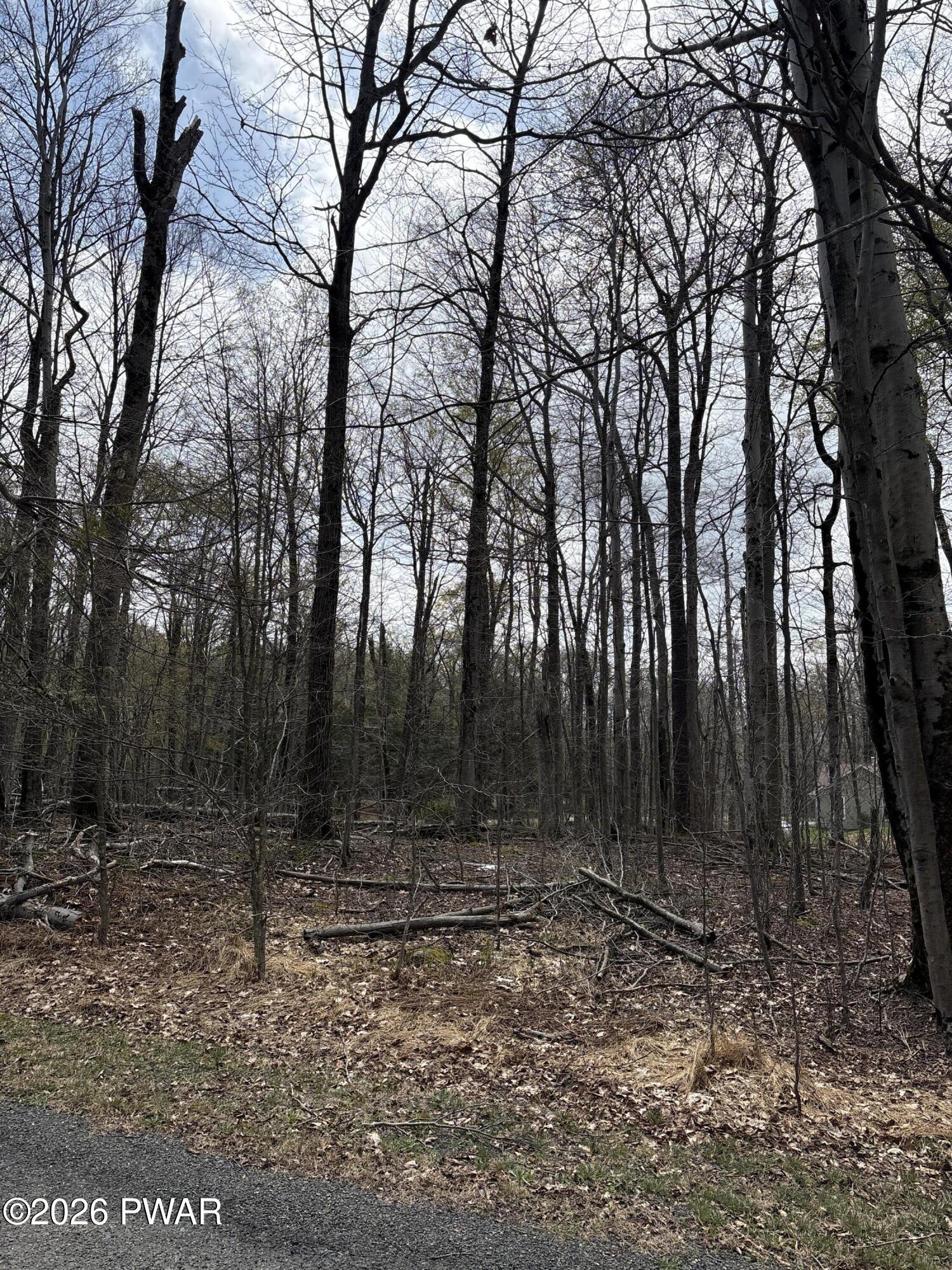Lot 60 Logger Road Canadensis, PA 18325 - Photo 6 of 9
