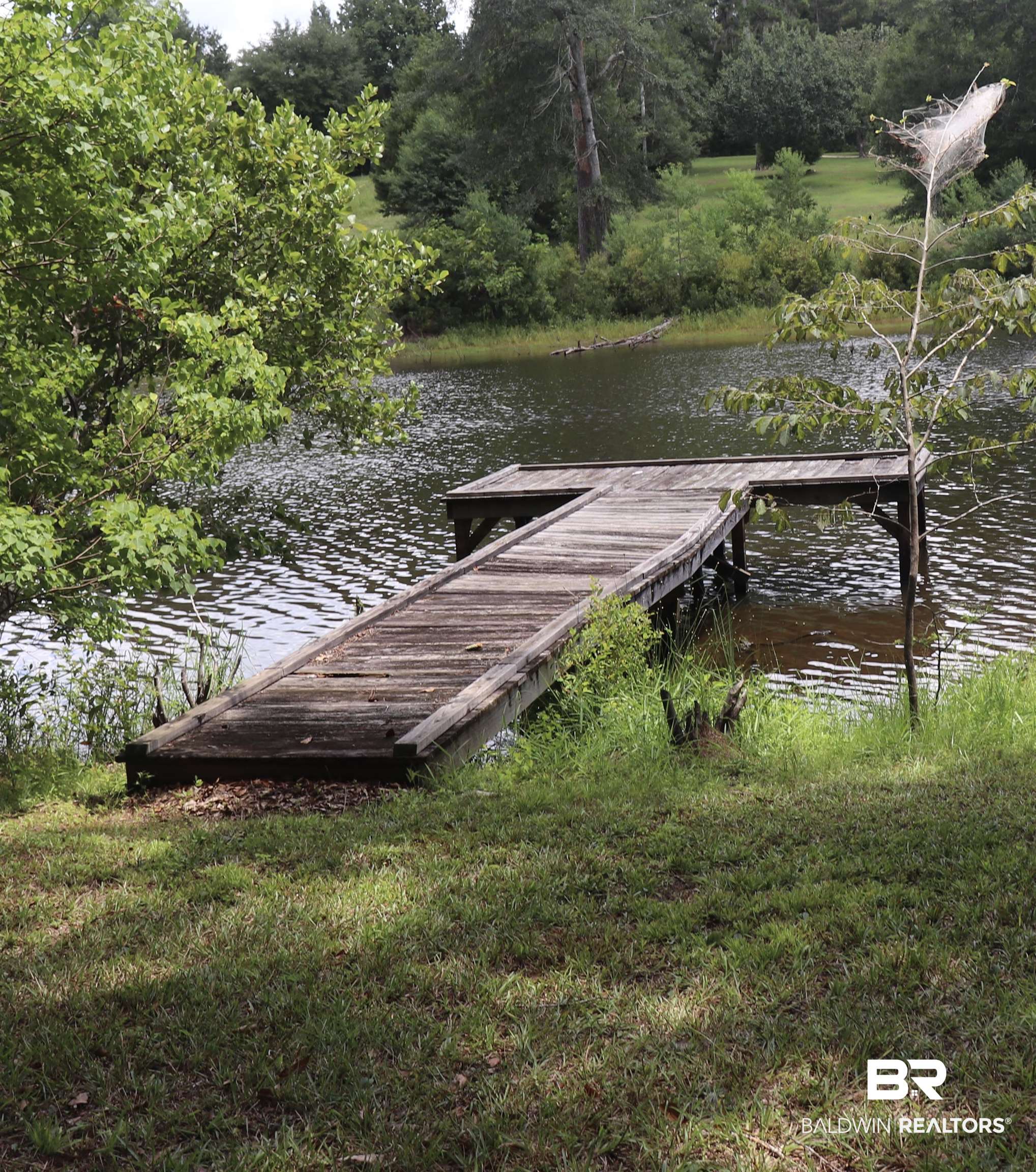 102 Brown Road Evergreen, AL 36401 - Photo 4 of 26 Dock featuring a water view and a wooded view