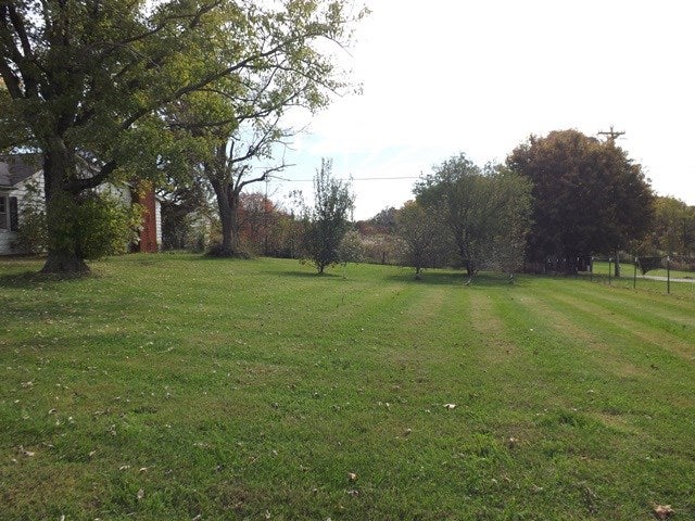 505 Tick Ridge Road Glasgow, KY 42141 - Photo 6 of 39 Gallery Image 6