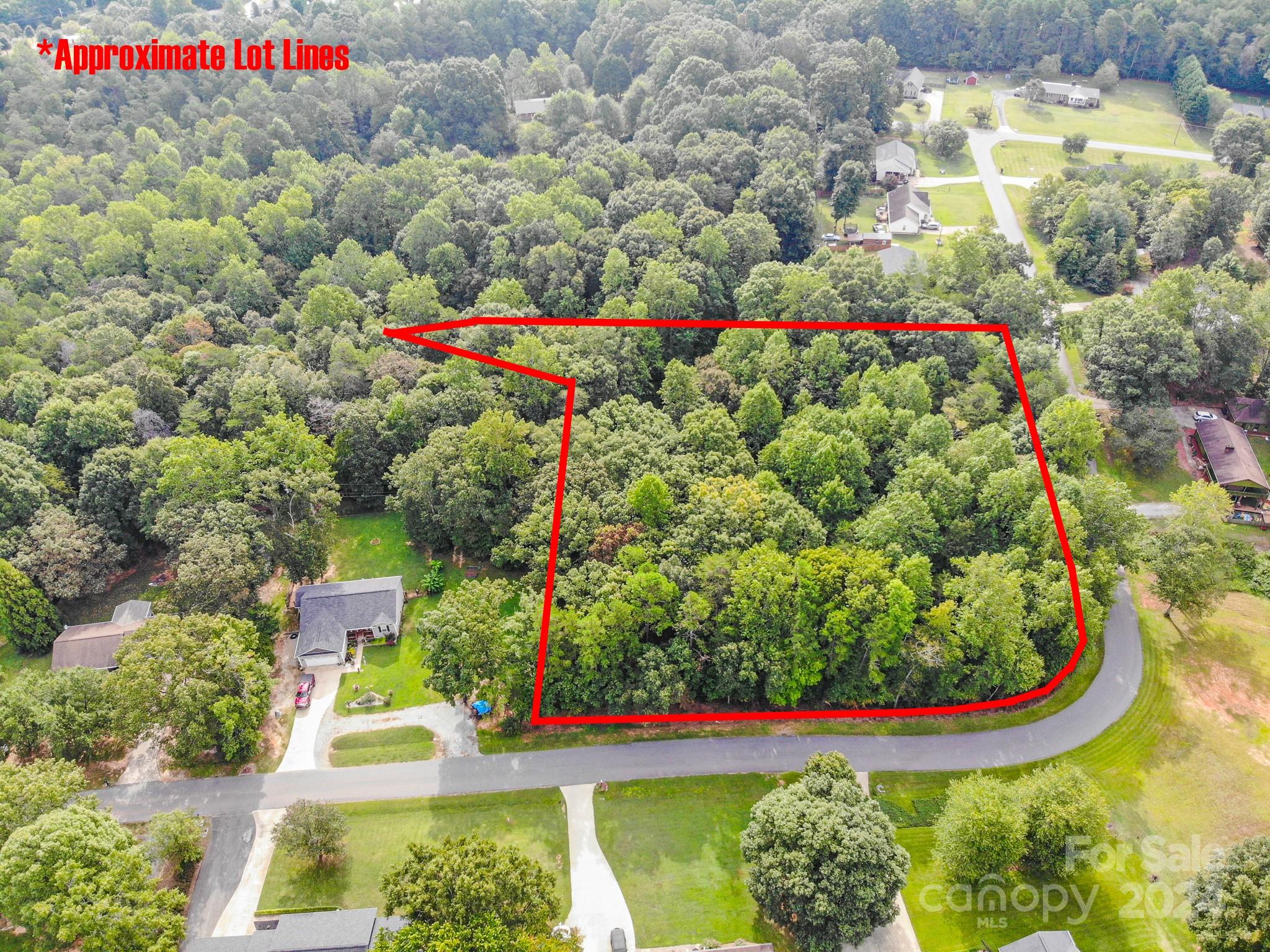 0 Spring Lake Drive Iron Station, NC 28080 - Photo 2 of 10 a view of a bird bath