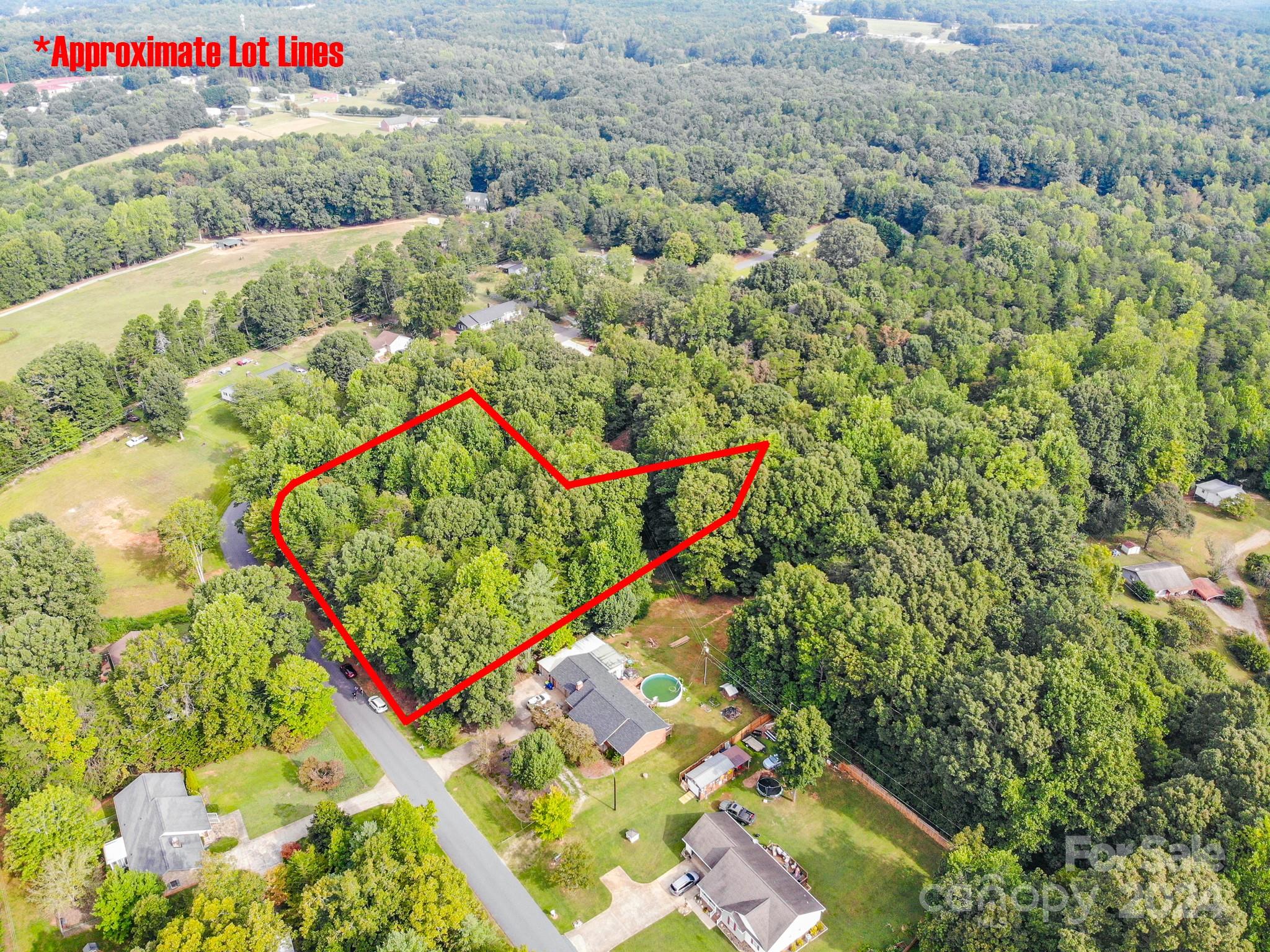 0 Spring Lake Drive Iron Station, NC 28080 - Photo 3 of 10 a view of a outdoor space