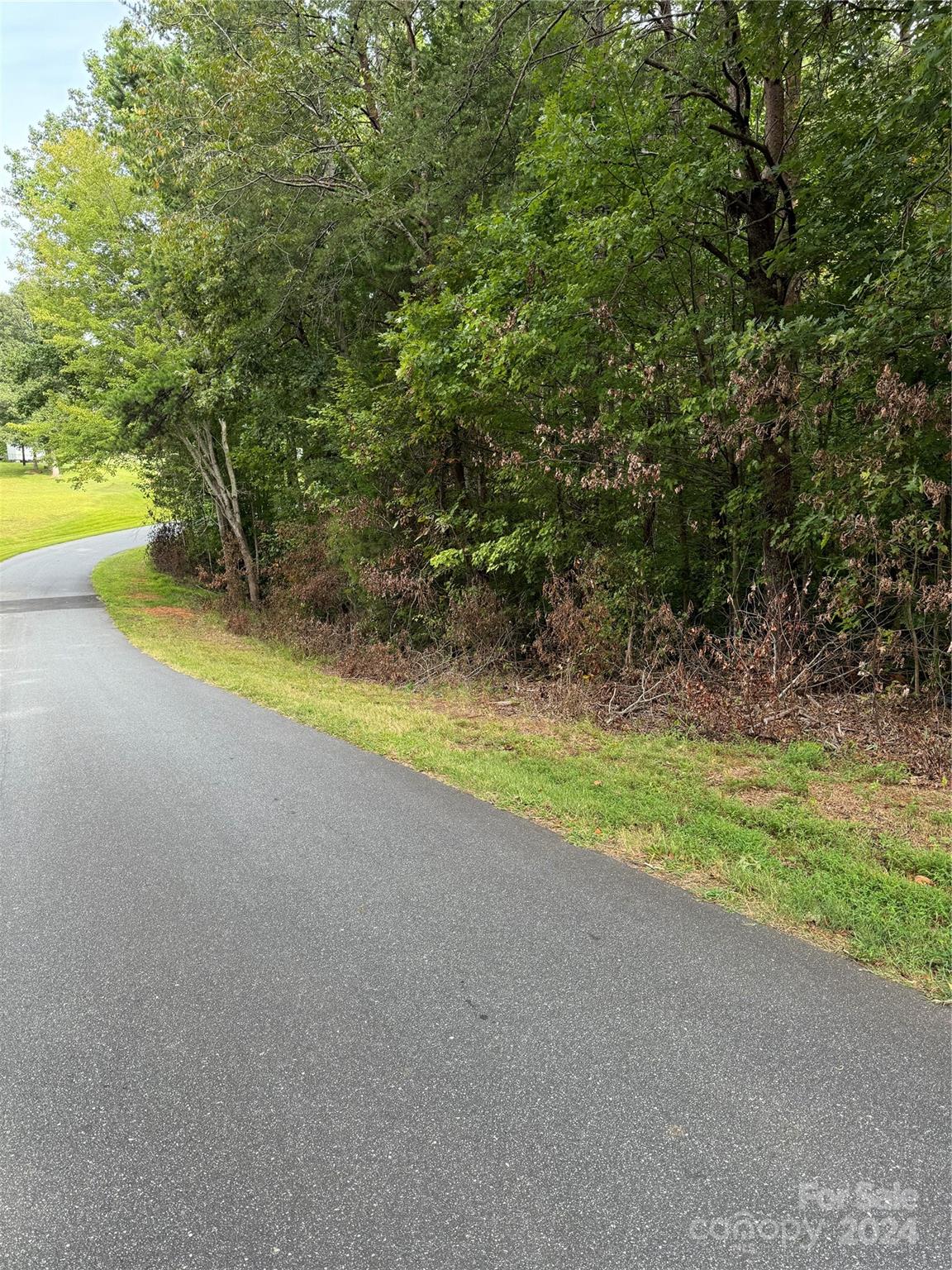 0 Spring Lake Drive Iron Station, NC 28080 - Photo 5 of 10 a view of a yard with an outdoor space