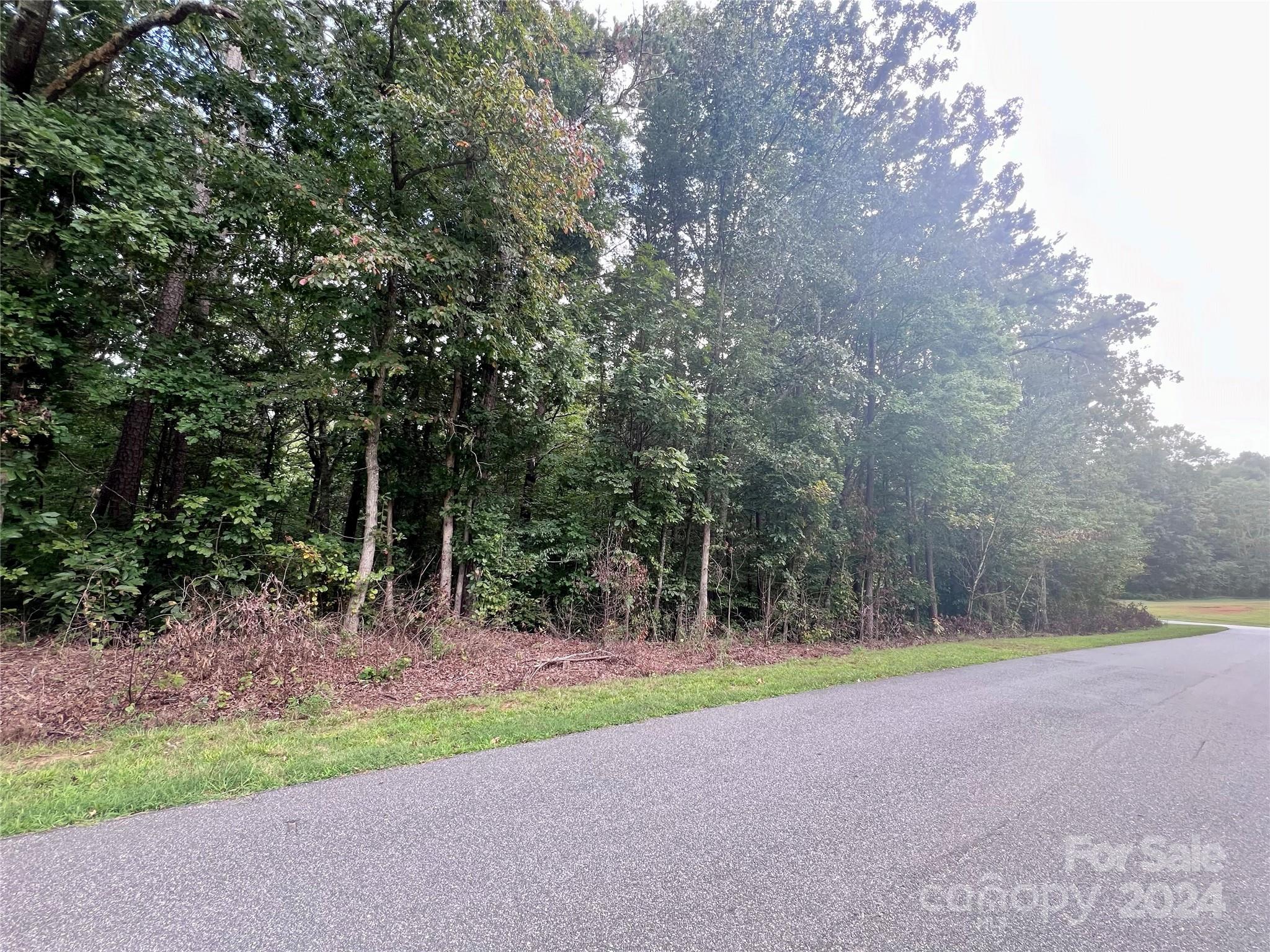 0 Spring Lake Drive Iron Station, NC 28080 - Photo 6 of 10 a backyard of a house with lots of green space