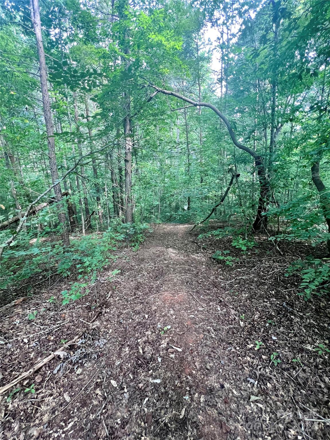 0 Spring Lake Drive Iron Station, NC 28080 - Photo 7 of 10 a view of a large yard with lots of green space