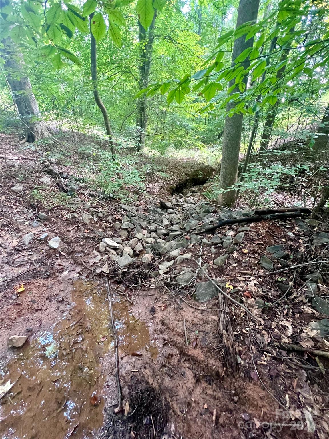 0 Spring Lake Drive Iron Station, NC 28080 - Photo 8 of 10 a view of outdoor space and a yard