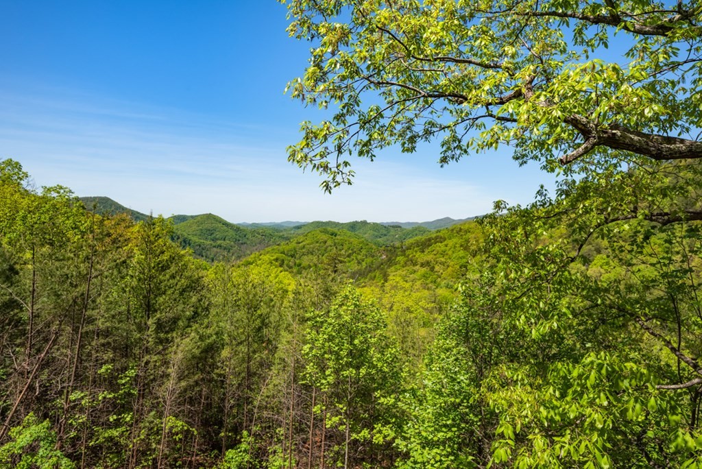 4475 Stackstone Road Sevierville, TN 37862 - Photo 54 of 58 Gallery Image 54