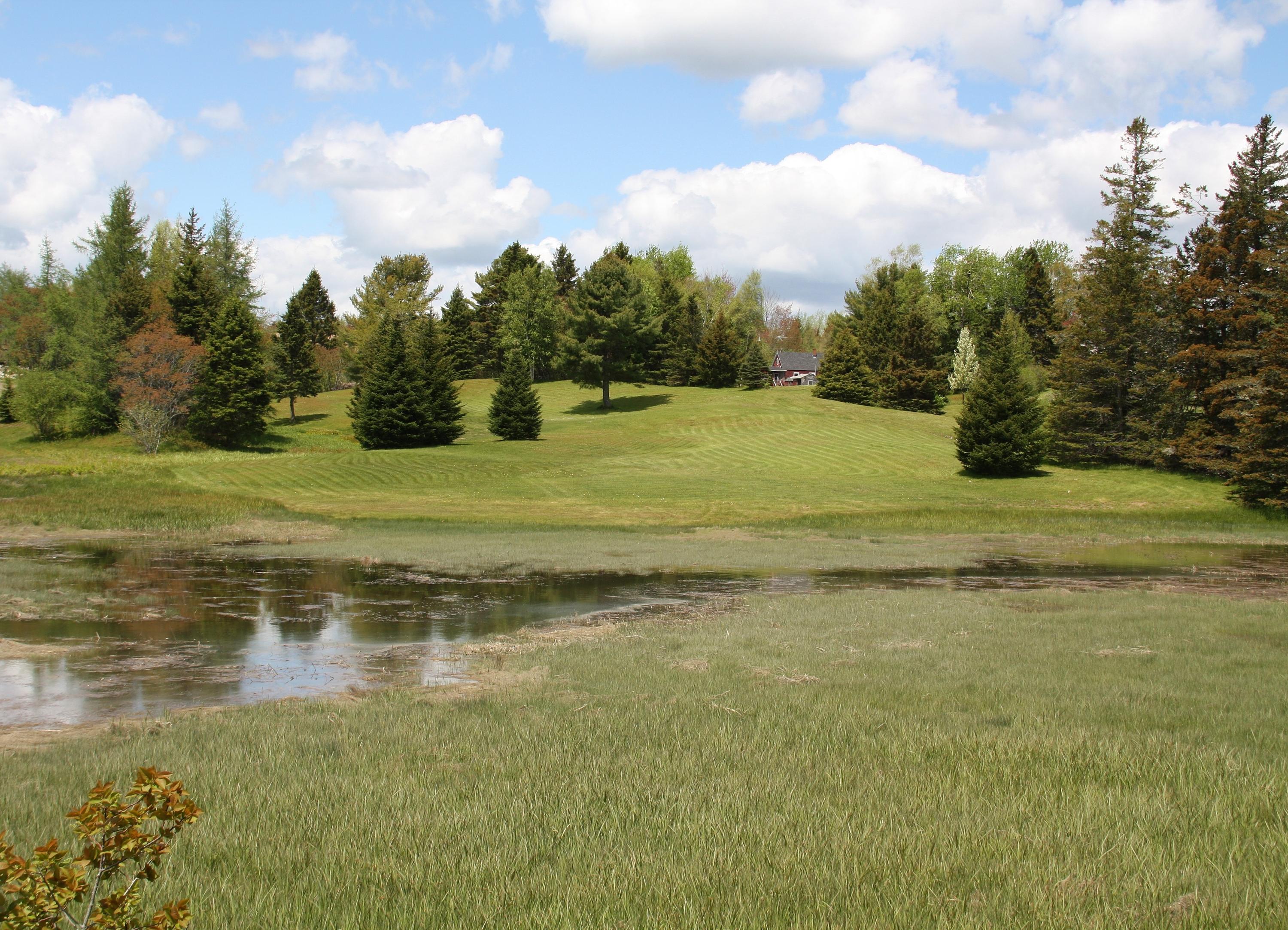 Lot 18 Back Bay Road Milbridge, ME 04658 - Photo 7 of 20 IMG_6250
