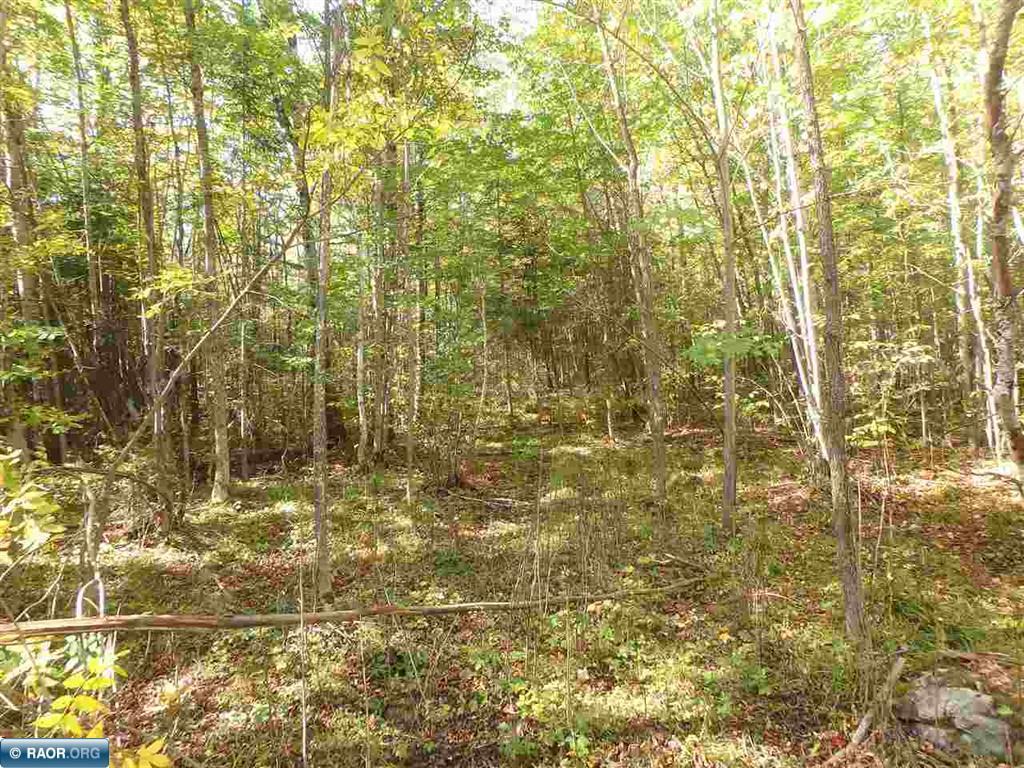 Tbd Tbd Vermilion Lake Road Cook, MN 55723 - Photo 8 of 16