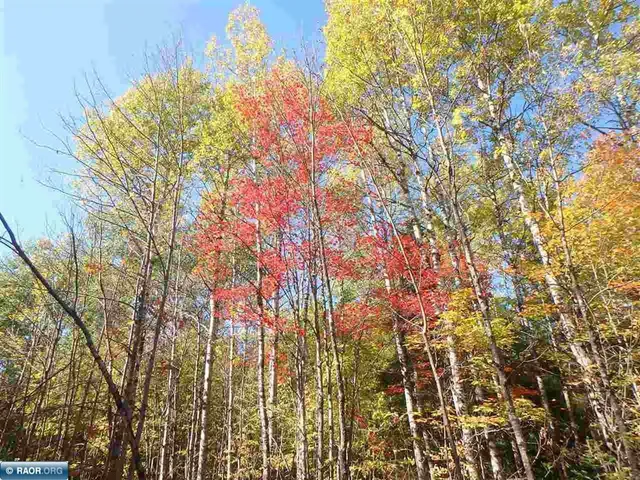 $62,000 | Tbd Tbd Vermilion Lake Road, Cook, MN 55723