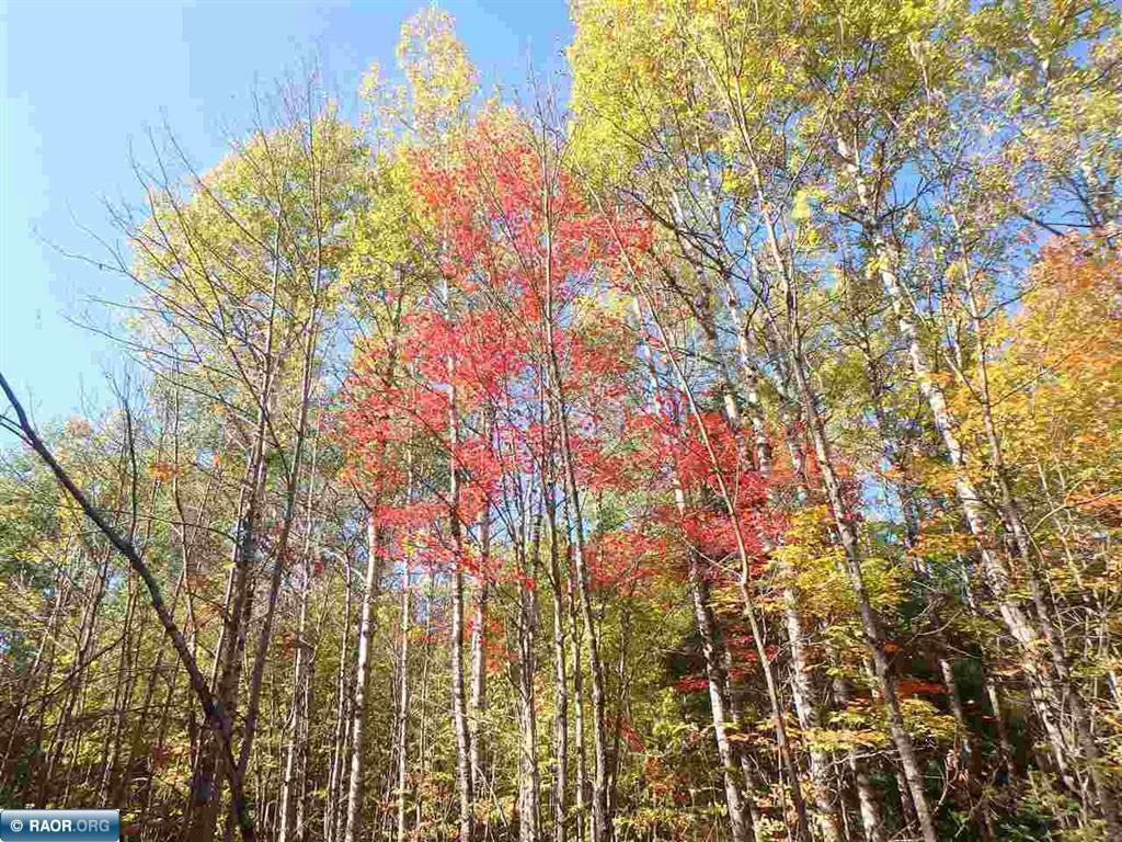 Tbd Tbd Vermilion Lake Road Cook, MN 55723 - Photo 9 of 16