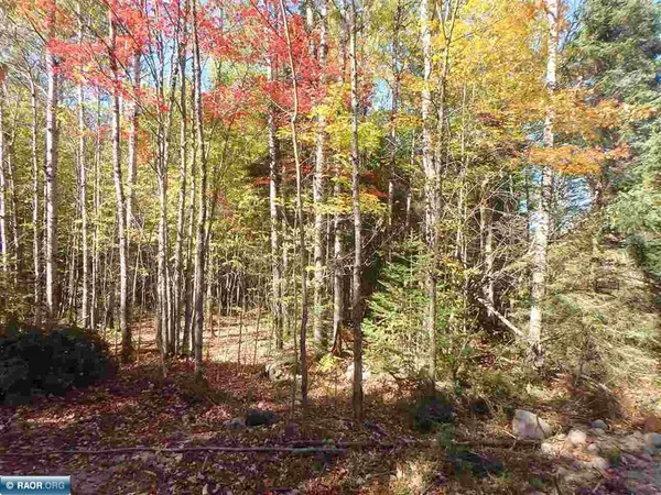 $62,000 | Tbd Tbd Vermilion Lake Road, Cook, MN 55723