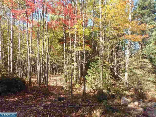 $62,000 | Tbd Tbd Vermilion Lake Road, Cook, MN 55723