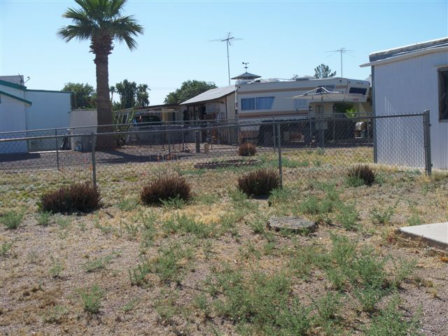 2293 South Tomahawk Road Apache Junction, AZ 85119 - Photo 4 of 5 Large open lot