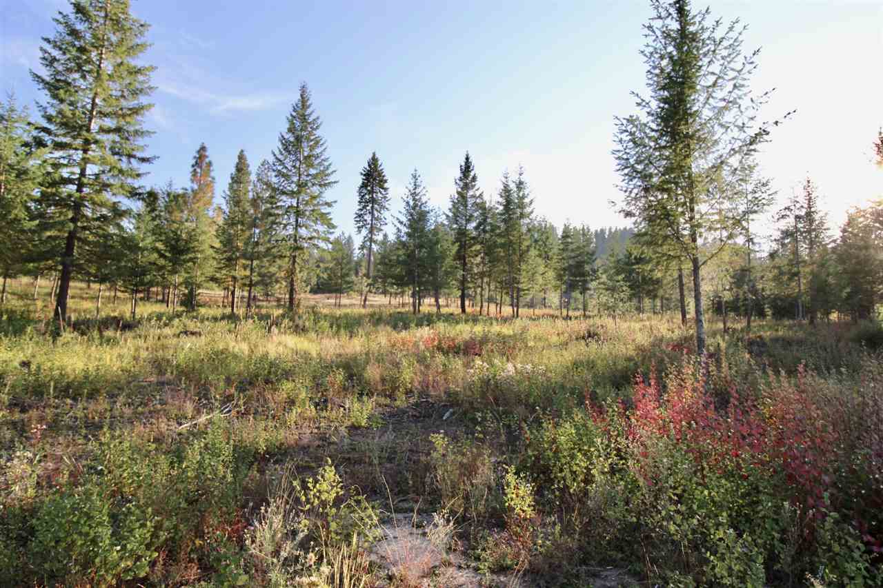 0 Rail Canyon Rd Ford Ford, WA 99013 - Photo 1 of 3 Gallery Image 1