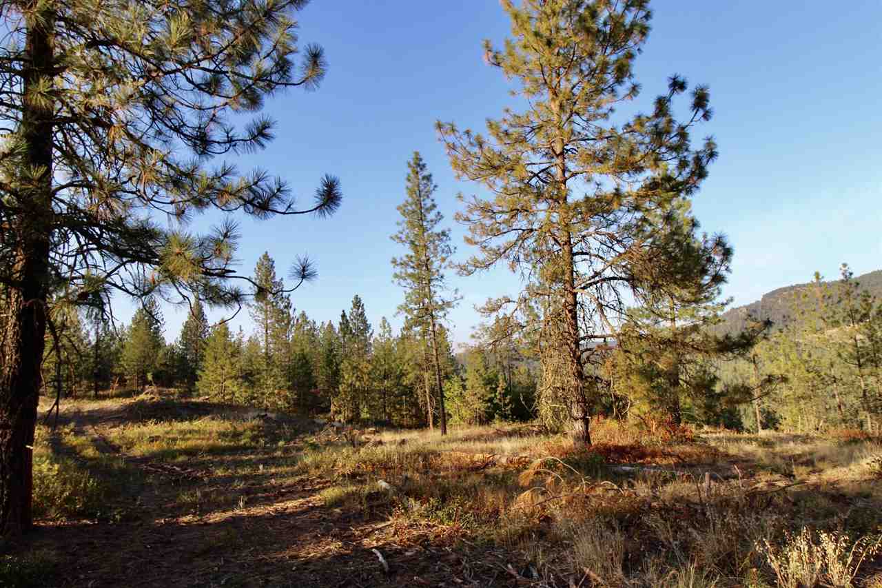 0 Rail Canyon Rd Ford Ford, WA 99013 - Photo 3 of 3 Gallery Image 3