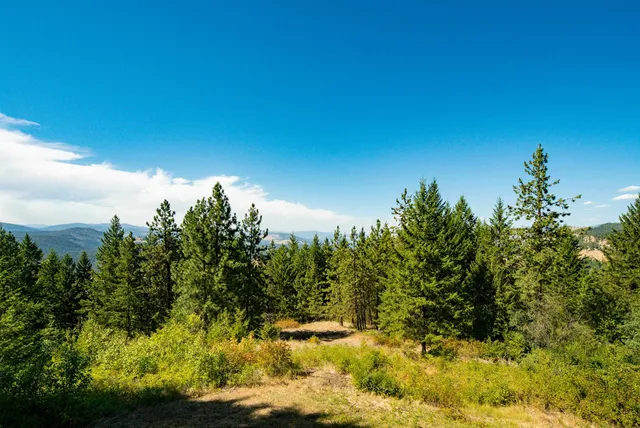 $369,000 | 41-xx Bissell Road, Hunters, WA 99137