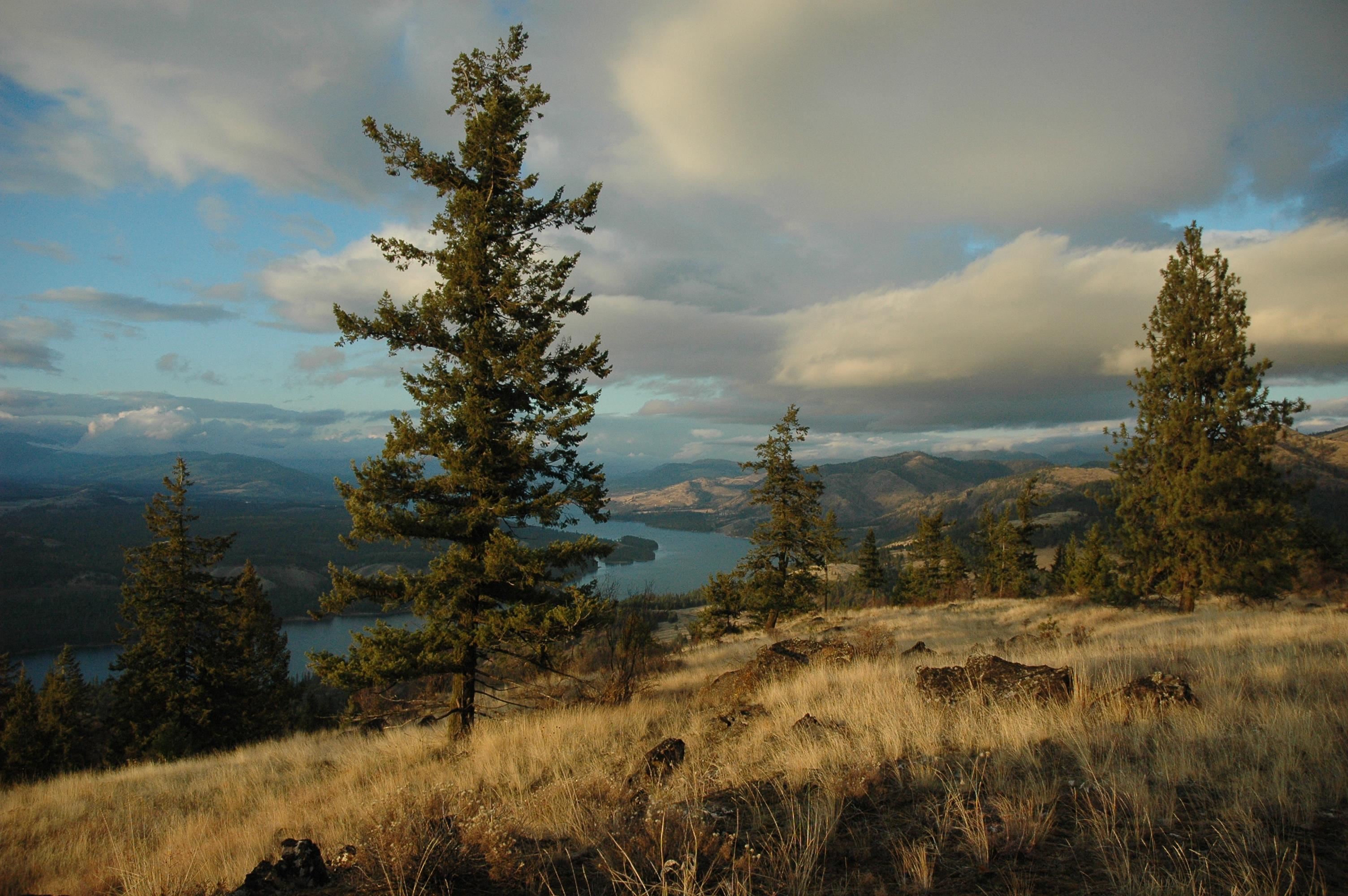 41-xx Bissell Road Hunters, WA 99137 - Photo 20 of 32