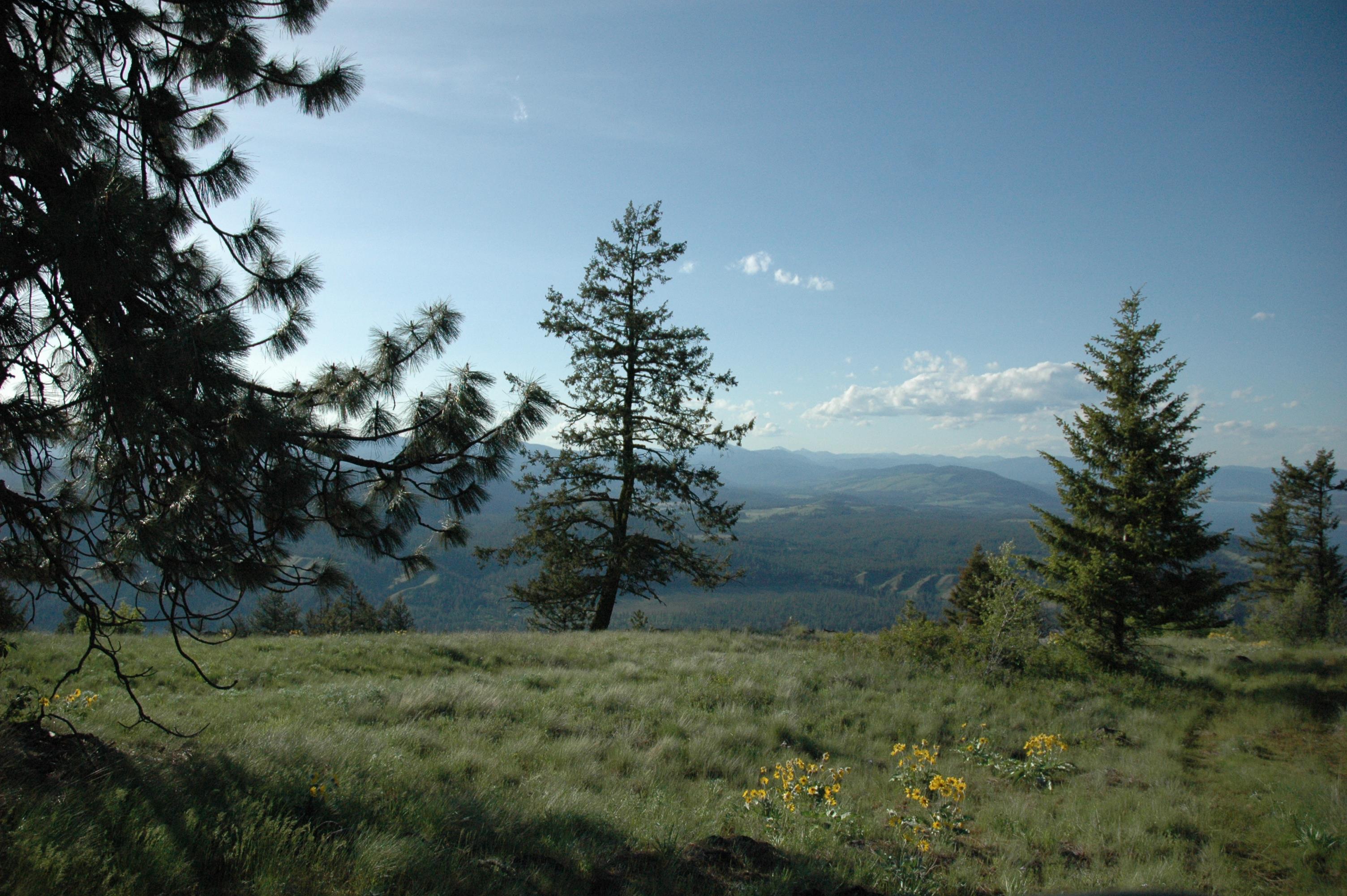 41-xx Bissell Road Hunters, WA 99137 - Photo 21 of 32