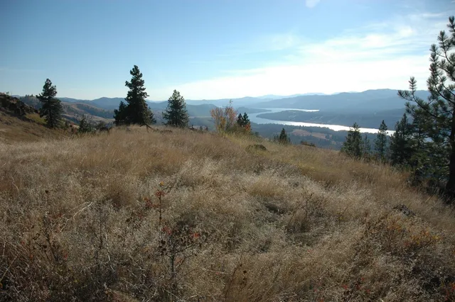 $369,000 | 41-xx Bissell Road, Hunters, WA 99137