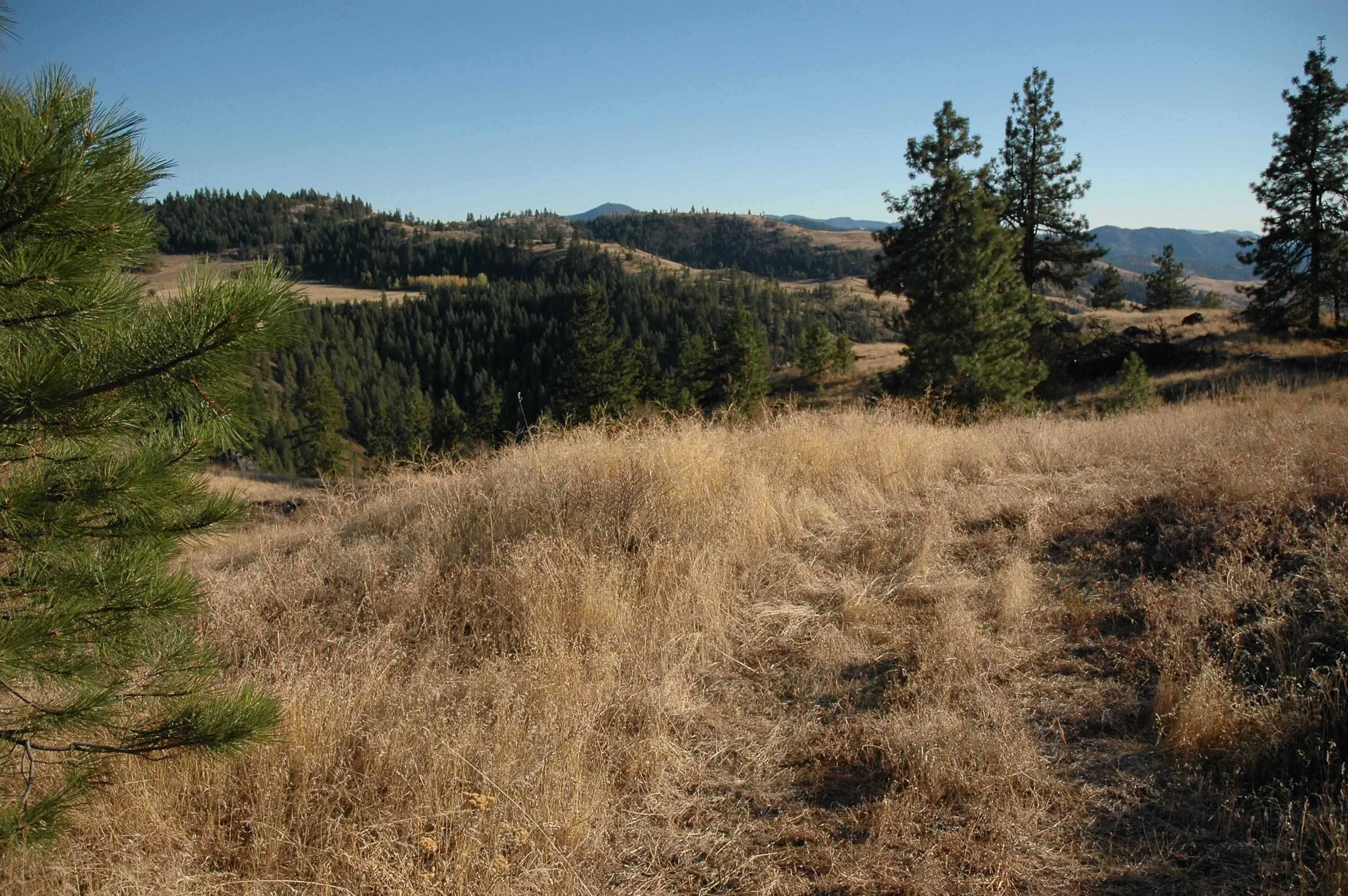 41-xx Bissell Road Hunters, WA 99137 - Photo 26 of 32