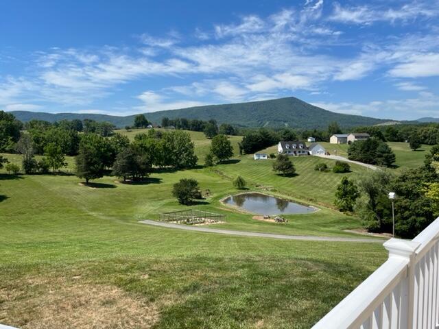 4541 Country Club Road Troutville, VA 24175 - Photo 45 of 51 IMG_2301
